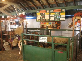 The ACR Breed Display