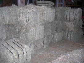 this hay will feed the flock for about 2 weeks